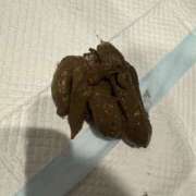 ヒメ日記 2025/03/14 12:05 投稿 ひまり 排泄マニア