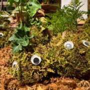 ヒメ日記 2025/03/16 21:34 投稿 ひまり 排泄マニア