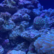 ヒメ日記 2025/03/19 07:27 投稿 ひまり 排泄マニア