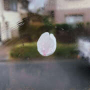 ヒメ日記 2025/03/25 15:02 投稿 ひまり 排泄マニア