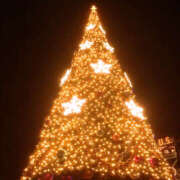 ヒメ日記 2025/03/26 17:28 投稿 ひまり 排泄マニア