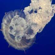 ヒメ日記 2025/03/27 11:47 投稿 ひまり 排泄マニア