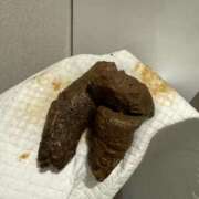 ヒメ日記 2025/04/02 12:06 投稿 ひまり 排泄マニア