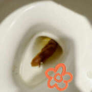 ヒメ日記 2025/04/02 19:09 投稿 ひまり 排泄マニア