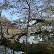 ヒメ日記 2025/04/03 14:15 投稿 ひまり 排泄マニア