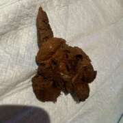 ヒメ日記 2025/04/07 13:59 投稿 ひまり 排泄マニア