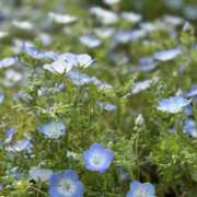 ヒメ日記 2025/04/19 12:27 投稿 ひまり 排泄マニア