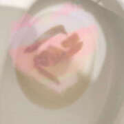 ヒメ日記 2025/04/20 07:07 投稿 ひまり 排泄マニア