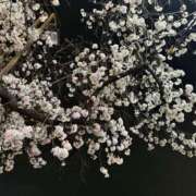 ヒメ日記 2025/04/22 17:51 投稿 ひまり 排泄マニア