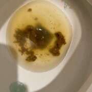 ヒメ日記 2025/04/24 07:12 投稿 ひまり 排泄マニア