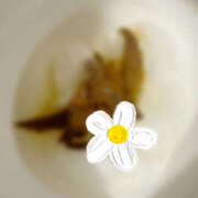 ヒメ日記 2025/05/05 07:34 投稿 ひまり 排泄マニア