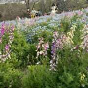 ヒメ日記 2025/05/07 07:18 投稿 ひまり 排泄マニア