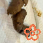 ヒメ日記 2025/05/14 23:07 投稿 ひまり 排泄マニア