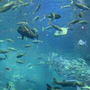 ヒメ日記 2025/05/16 12:30 投稿 ひまり 排泄マニア