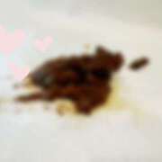 ヒメ日記 2025/06/01 10:34 投稿 ひまり 排泄マニア