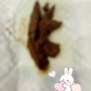 ヒメ日記 2025/06/02 18:27 投稿 ひまり 排泄マニア