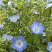 ヒメ日記 2025/06/03 19:14 投稿 ひまり 排泄マニア