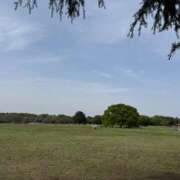 ヒメ日記 2025/06/06 15:19 投稿 ひまり 排泄マニア