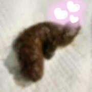 ヒメ日記 2025/06/08 20:58 投稿 ひまり 排泄マニア