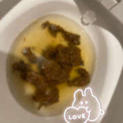 ヒメ日記 2025/06/15 21:08 投稿 ひまり 排泄マニア