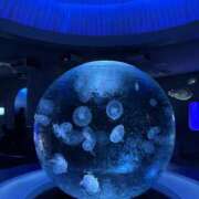 ヒメ日記 2025/06/16 18:28 投稿 ひまり 排泄マニア