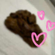 ヒメ日記 2025/06/17 12:32 投稿 ひまり 排泄マニア