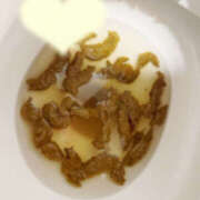 ヒメ日記 2025/06/23 07:13 投稿 ひまり 排泄マニア