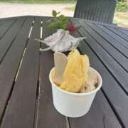 ヒメ日記 2025/06/26 19:06 投稿 ひまり 排泄マニア