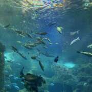 ヒメ日記 2025/06/29 15:00 投稿 ひまり 排泄マニア