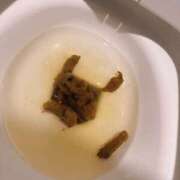 ヒメ日記 2025/06/29 19:03 投稿 ひまり 排泄マニア