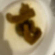 ヒメ日記 2025/07/25 12:17 投稿 ひまり 排泄マニア