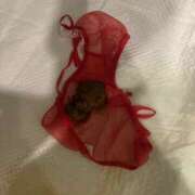 ヒメ日記 2025/08/02 12:06 投稿 ひまり 排泄マニア