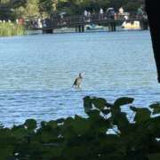 ヒメ日記 2025/09/12 07:07 投稿 ひまり 排泄マニア