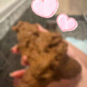 ヒメ日記 2025/09/15 22:46 投稿 ひまり 排泄マニア