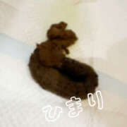 ヒメ日記 2025/09/19 12:53 投稿 ひまり 排泄マニア