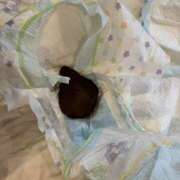 ヒメ日記 2025/10/03 14:52 投稿 ひまり 排泄マニア