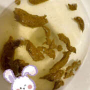 ヒメ日記 2025/10/05 21:09 投稿 ひまり 排泄マニア