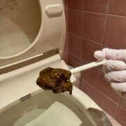 ヒメ日記 2025/11/03 20:59 投稿 ひまり 排泄マニア