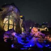 ヒメ日記 2025/11/09 21:06 投稿 ひまり 排泄マニア