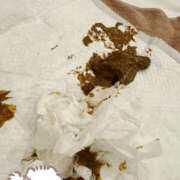 ヒメ日記 2025/12/02 12:16 投稿 ひまり 排泄マニア