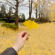 ヒメ日記 2025/12/04 19:19 投稿 ひまり 排泄マニア