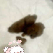 ヒメ日記 2025/12/10 18:52 投稿 ひまり 排泄マニア