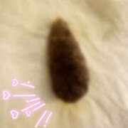 ヒメ日記 2025/12/14 15:00 投稿 ひまり 排泄マニア