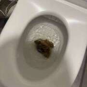 ヒメ日記 2025/12/18 15:59 投稿 ひまり 排泄マニア