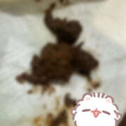 ヒメ日記 2025/12/29 22:09 投稿 ひまり 排泄マニア