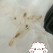 ヒメ日記 2026/01/12 07:12 投稿 ひまり 排泄マニア