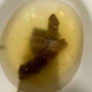 ヒメ日記 2026/01/23 18:45 投稿 ひまり 排泄マニア