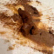 ヒメ日記 2026/01/25 07:47 投稿 ひまり 排泄マニア