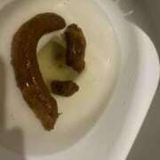 ヒメ日記 2026/01/30 07:14 投稿 ひまり 排泄マニア