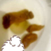 ヒメ日記 2026/02/13 19:12 投稿 ひまり 排泄マニア